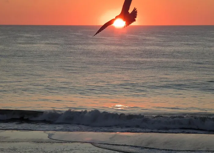 Beachbox Iii - Unreal Views - Oceanfront Balcony - Couple's Getaway - Worcester House 401 * Ocean City
